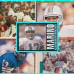 Dan Marino Sports Card Collage